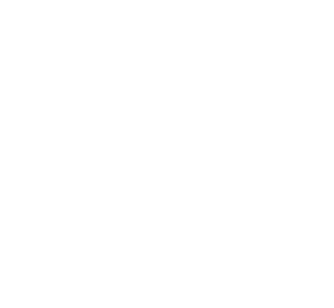 Ship Simulator Experience Logo white - no background