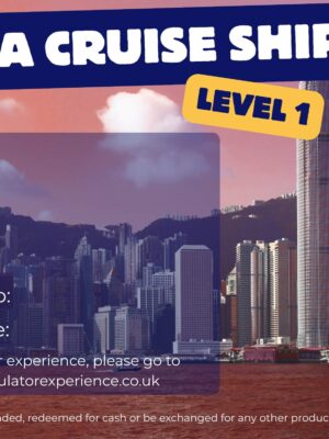 ECDIS Level 1 Cruise Ship Simulator Experience Voucher